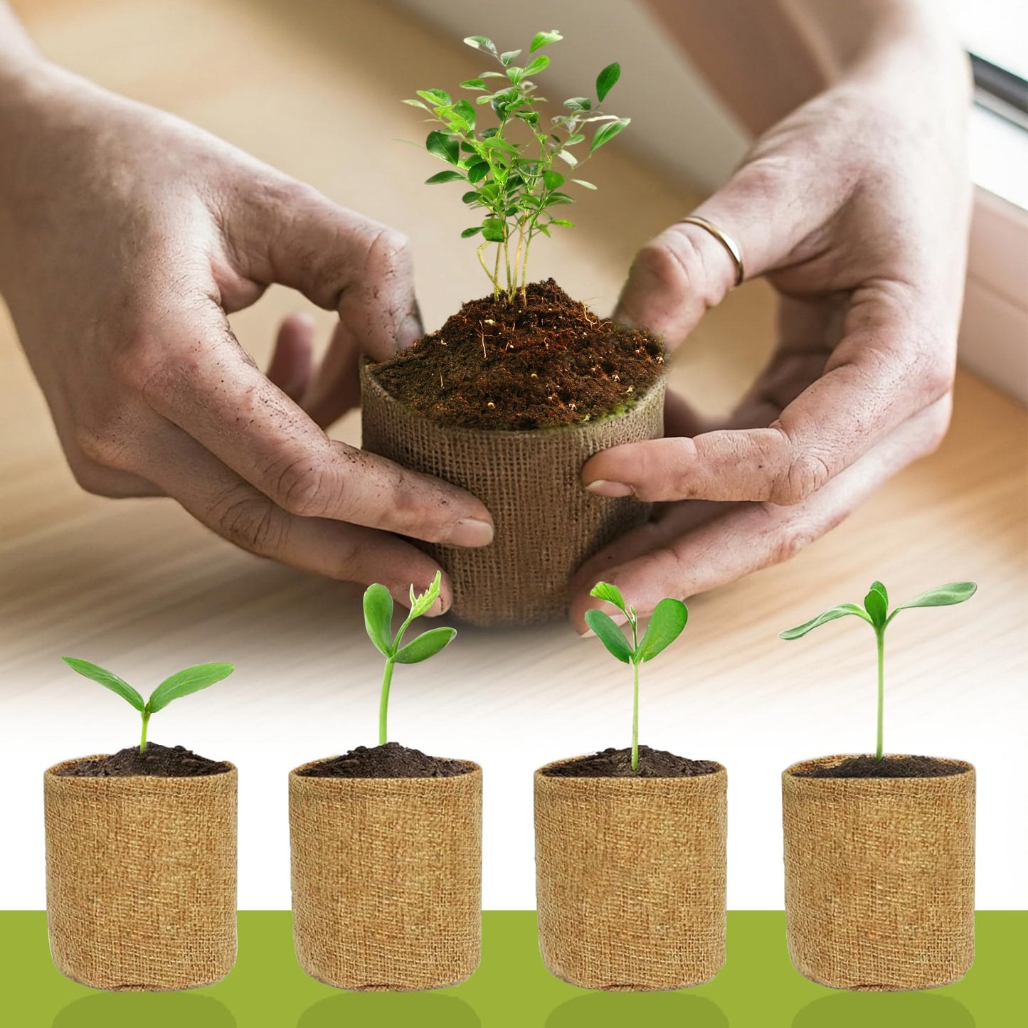 Bonsai Tree Growing Kit - All-in-One plant repotting mat Gardening Tools & User Manual, Unique Gift for Plant Lovers (Seeds Not Included)Gardening Gifts for Women Men Mom Father Birthday Thanksgiving