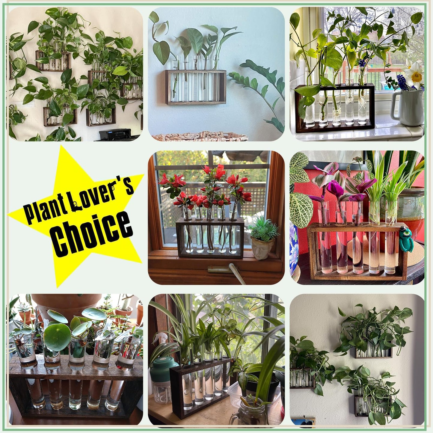 XXXFLOWER Plant Propagation Station,Plant Terrarium Wooden Stand with 5 Test Tubes,Glass Planters for Indoor Plants,Plant Lover Gifts for Women Mom Wife Daughter,Garden Office Room Decoration