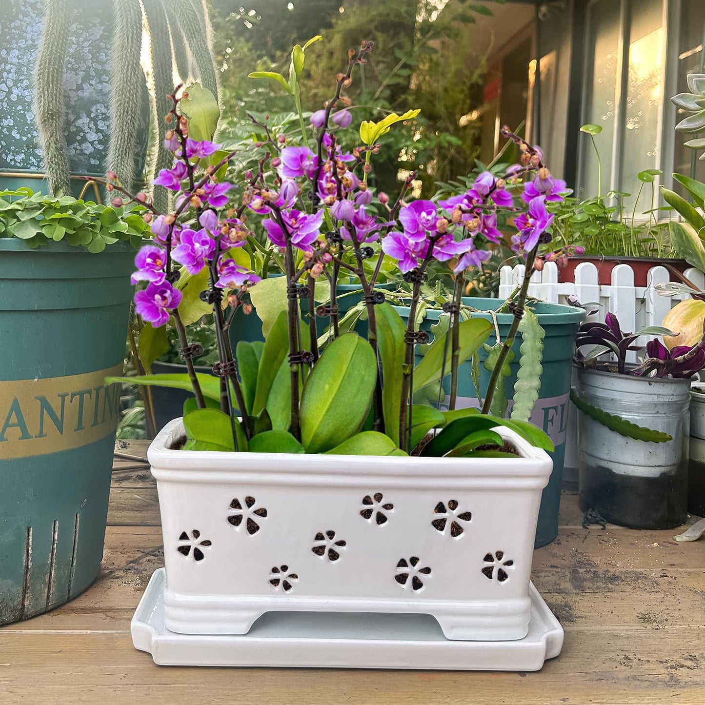 Orchid Pot with Holes and Saucer - 12*6.3*5.3Inch Ceramic Large Pot Basin for Refilling - Indoor and Outdoor Use - Air Circulation
