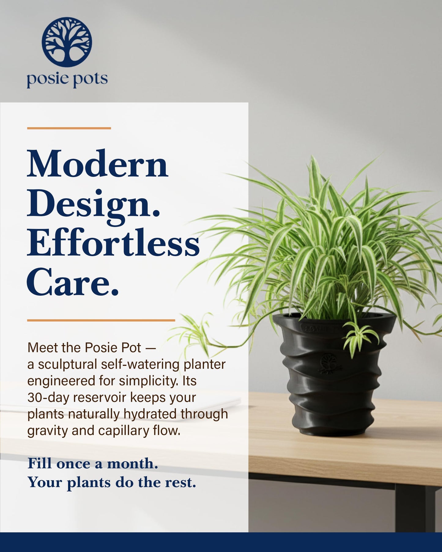 Posie Pot Medium Wave Self Watering Planter for Indoor Plants - 5x5 Inch Patented Pot with 10X Water Reservoir - Modern 3D Printed Desk Planter - Root Rot Free - Eco Friendly, Made in USA, Black