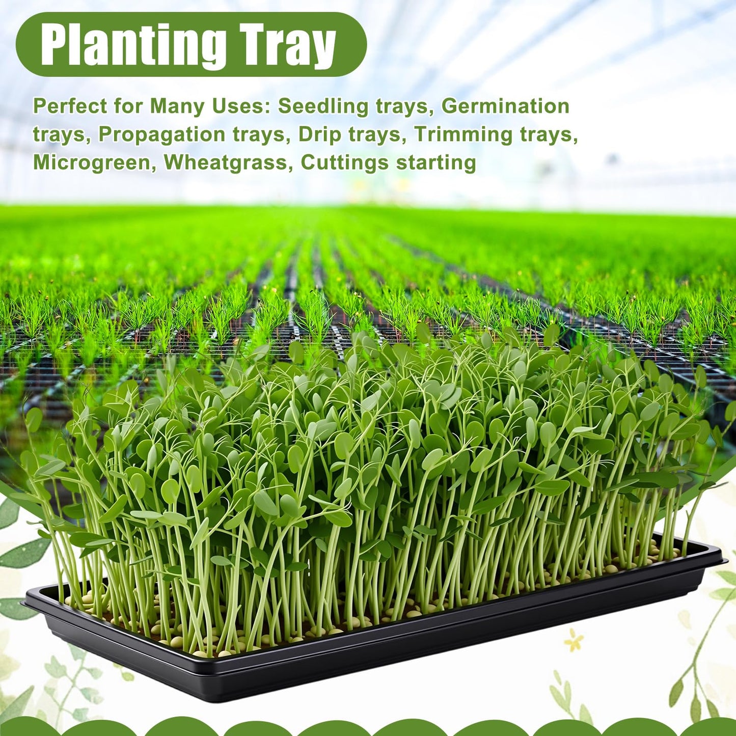 Vesici 20 Pack 1020 Seed Starting Tray Heavy Duty Plant Growing Flat Seedling for 72/128 Cell Plug Plant Nursery Tray No Hole Germination Transplant for Microgreens Gardening Greenhouse (L)