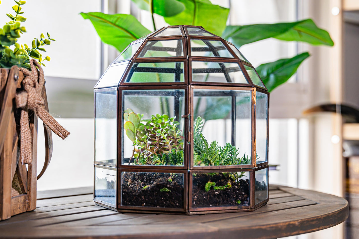 Urban Born Large Terrarium Birdcage, Glass and Metal Indoor Display Case, Unique Gift Idea, Succulent Container, Orchid Planter, Home Decor. (Bronze) 10" x 9"(Diameter)