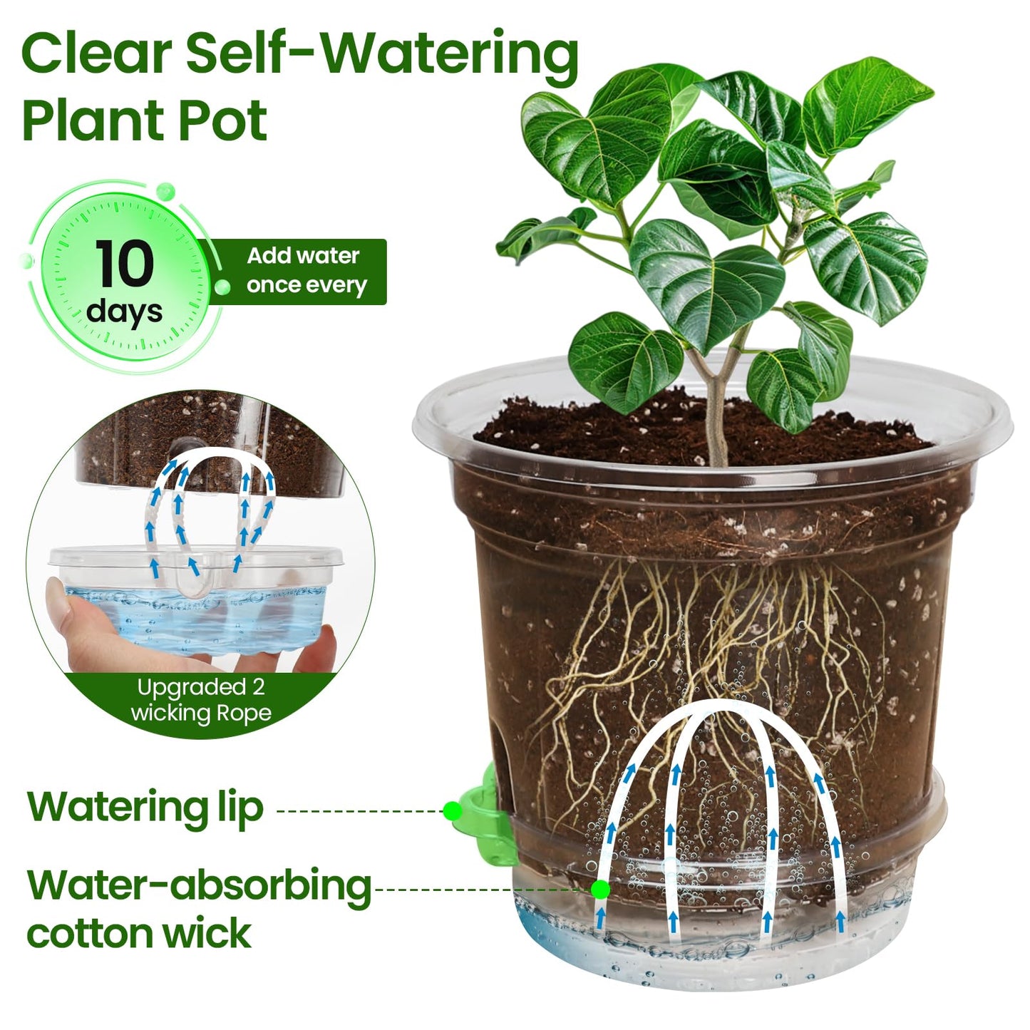 MIXC 12 Packs 6.5 Inch Self Watering Pots for Indoor Plants - Clear Nursery Plant Pots with Drainage, Deep Visible Reservoir - Flower Planter Outdoor with Wicking Rope