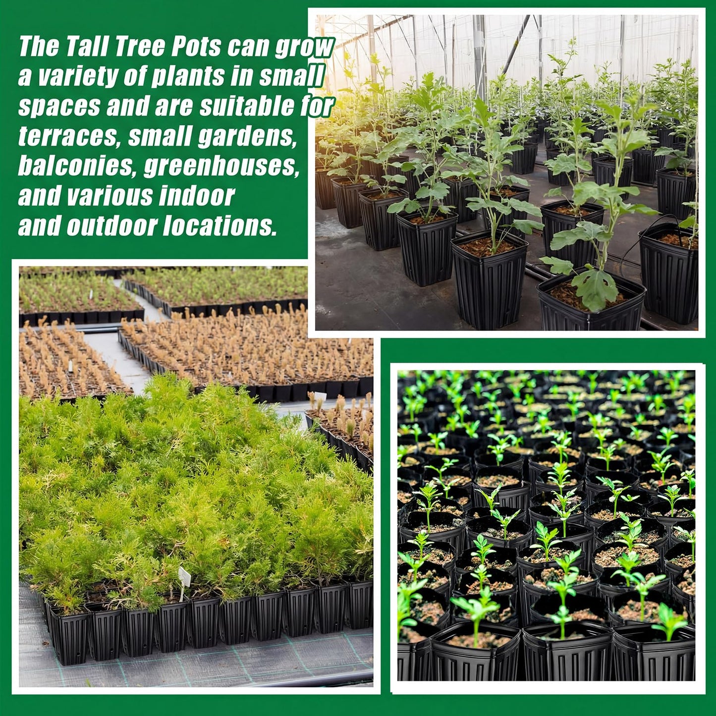 RimCereal 320 Pcs Tall Tree Pot 12.6'' 11.8'' 9.8'' Plastic Deep Nursery Tree Pot with Drainage Hole Black Seedling Plant Flower Container with Label, Garden Tool for Indoor Outdoor Garden, 9 Sizes