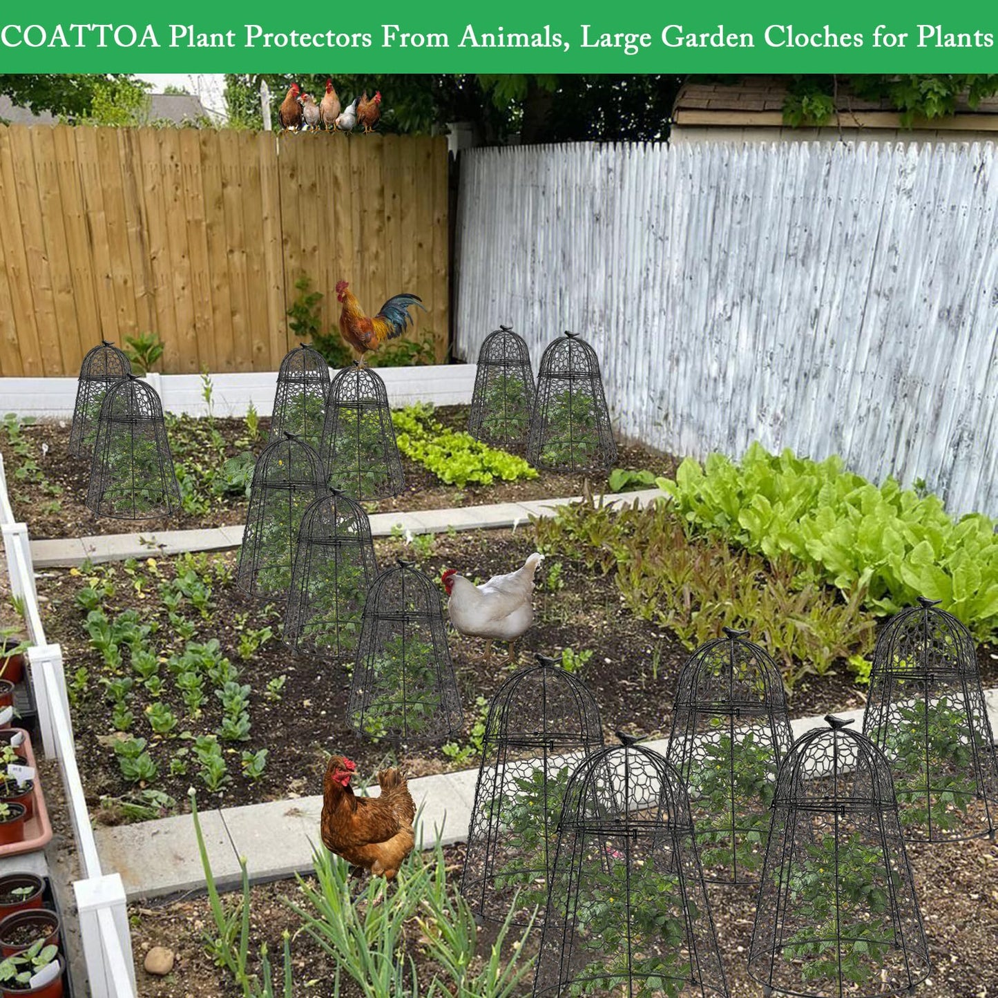 COATTOA Plant Protector Chicken Wire Cloche 4 PCS, Plant Protectors from Animals, 18.7×12 Inch Large Garden Cloches for Plants, Sturdy 2-in-1 Cloche Dome for Plants, Plant Protectors for Easy Pruning
