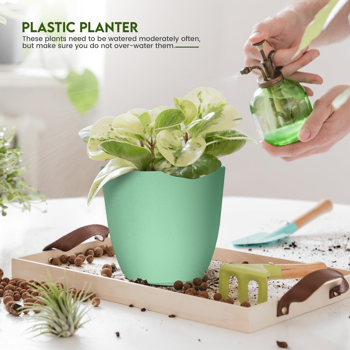Utopia Home - Plant Pots Indoor with Drainage - 7/6.6/6/5.3/4.8 Inches Home Decor Flower Pots - Plastic Planters for Indoor Plants, Cactus, Succulents Pot (Mint, Pack of 10)