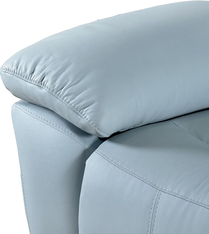 Furniture of America Sorin Modern Leather Recliner Sofa