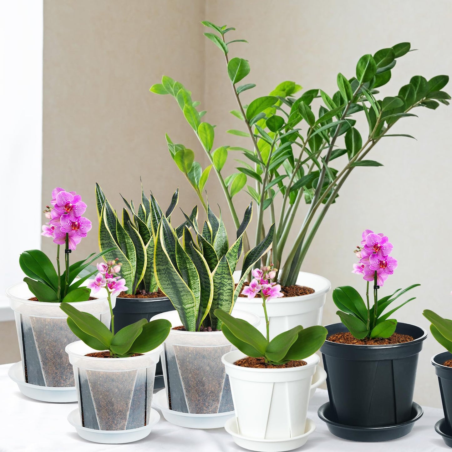 IWNTWY Plant Pots 7/6/4.7 Inch Set of 6, Clear Plastic Nursery Pots with Drainage Holes and Saucers, Flowers Planter Pots for Indoor Outdoor Plants (Variety Size, Clear)
