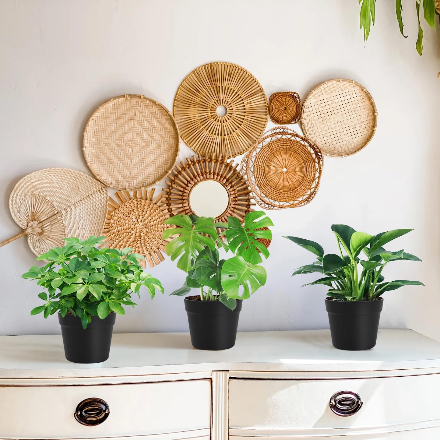 CAIJUDONG 3 Pack Wall Hanging Planters Indoor Outdoor 6.3 Inch Self-Watering Flower Pots with Leak-Proof Drainage Iron Brackets Hanging Basket Room Garden Decor(Black)