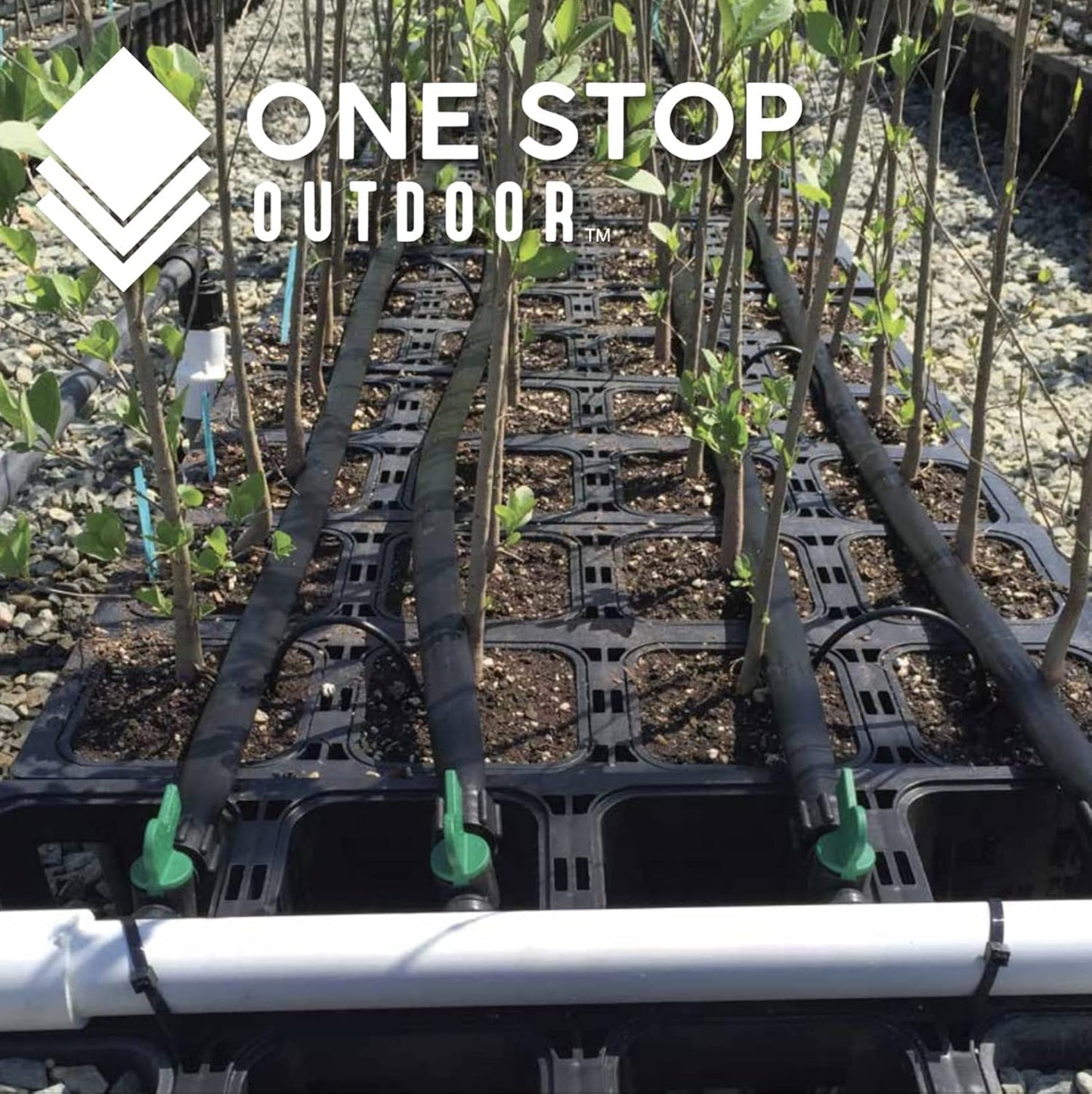 250pk 6" Angled Drip Emitter Stake, Fits 1/4" & 1/8" Tubing for Precise Watering & Irrigation, Greenhouse, Container Gardening, Home Garden, and Hydroponics Growing (250, 6" Inch Long)