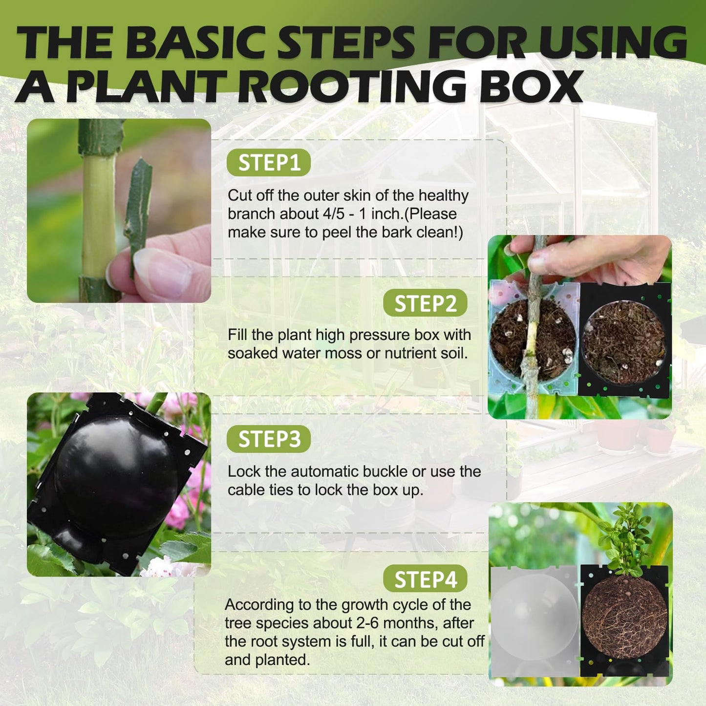 NVAAV Tree Root Growing Box, Air Layering Pods Propagation Kit, Reusable Half Transparent Plants Asexual Reproduction Grafting Ball for Fast Propagation Plants (6pcs Meidum + 6pcs Large)