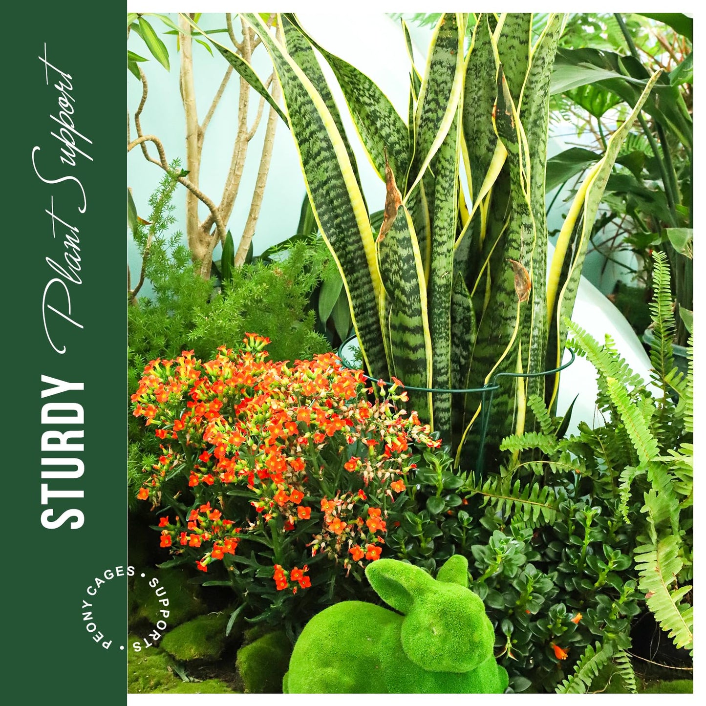 LEOBRO 12PCS Plant Supports, Peony Cages and Supports, Plant Stakes, Plant Support Stakes for Indoor Plants, Outdoor Plants, Monstera Hydrangea Support Cage, 10" W x 15.8" H