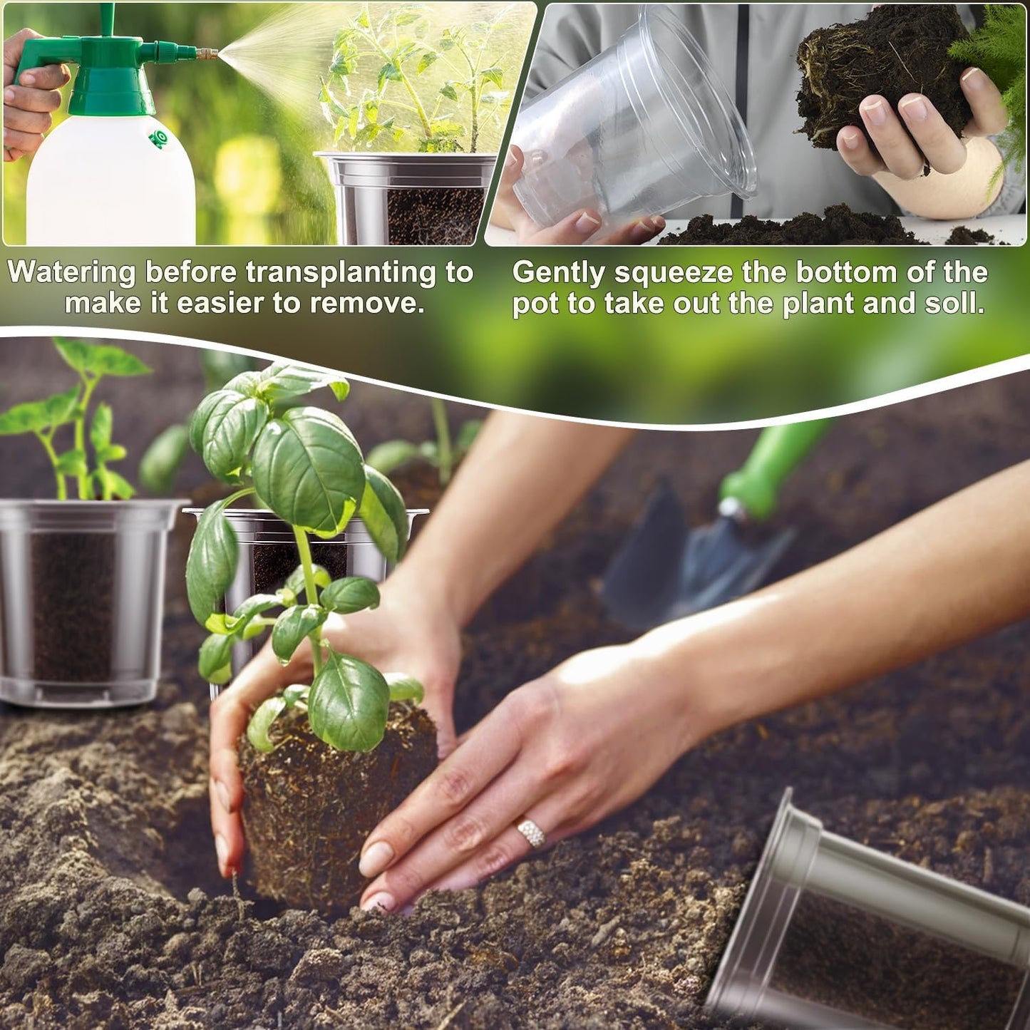 SupKing Clear Nursery Pots 6/5/4 Inch Plastic Seed Starter,12 Pack Plastic Pots for Plants with Drainage Holes for Transplanting Succulents Cuttings Come with 15 Seedlings Labels