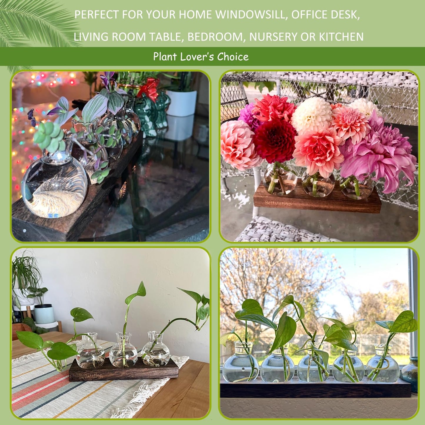 Bettstation Plant Propagation Station, Plants Terrarium with Wooden Stand Bulb Glass Vase Planter Gift for Plant Lovers Home Office Decor