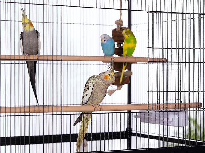 Prevue Pet Products Steel Bird Flight Cage with Wheels - Large Birdcage for Parakeets, Canaries, Finches, Cockatiels, Lovebirds, & Green Cheek, Metal Standing Birdcage - Black, Large