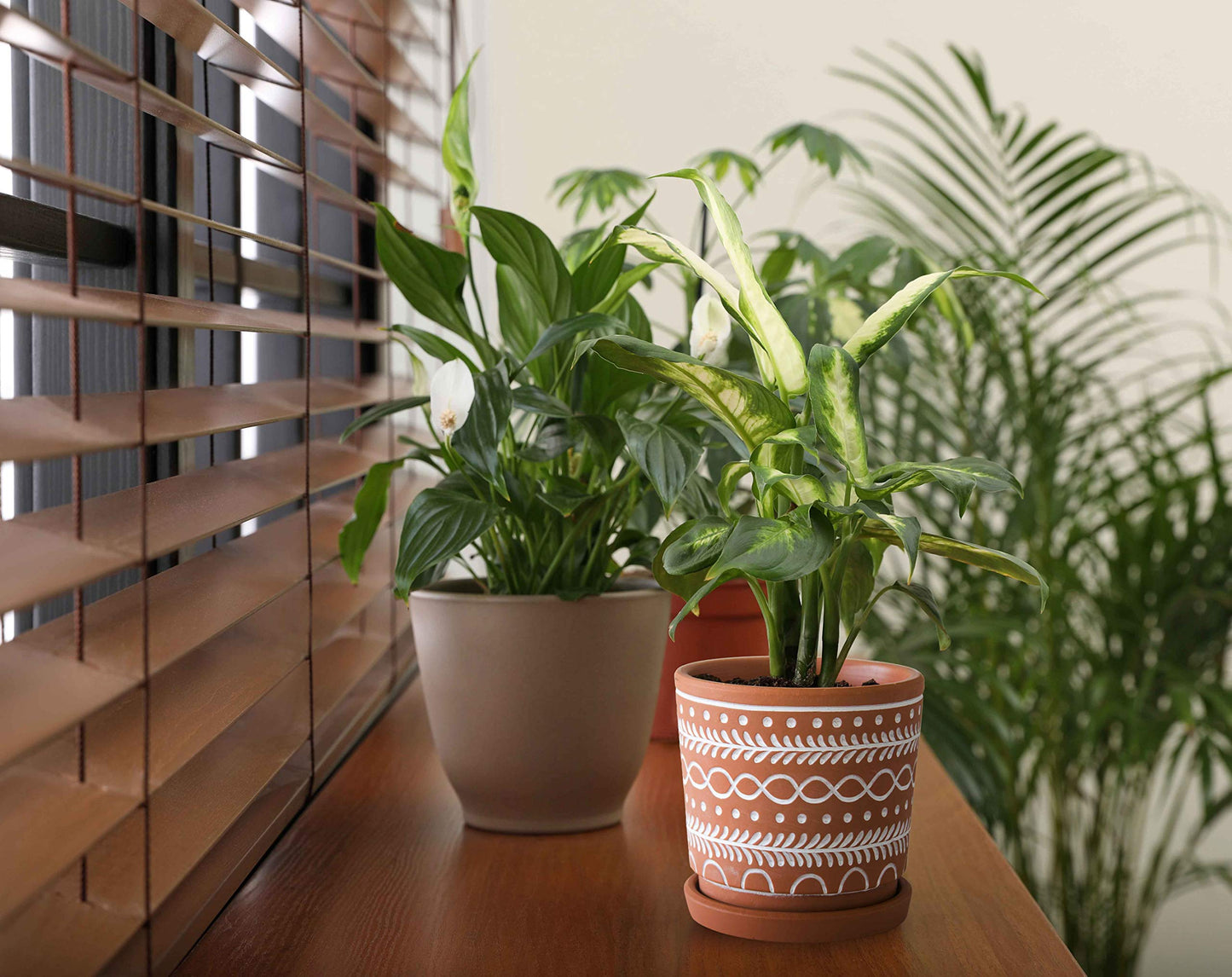 D'vine Dev Set of 2 Terracotta Pots, 4 Inch & 6 Inch, Planter Pots for Plants with Drainage Holes and Saucers, Terracotta/White, 31-958-D-1