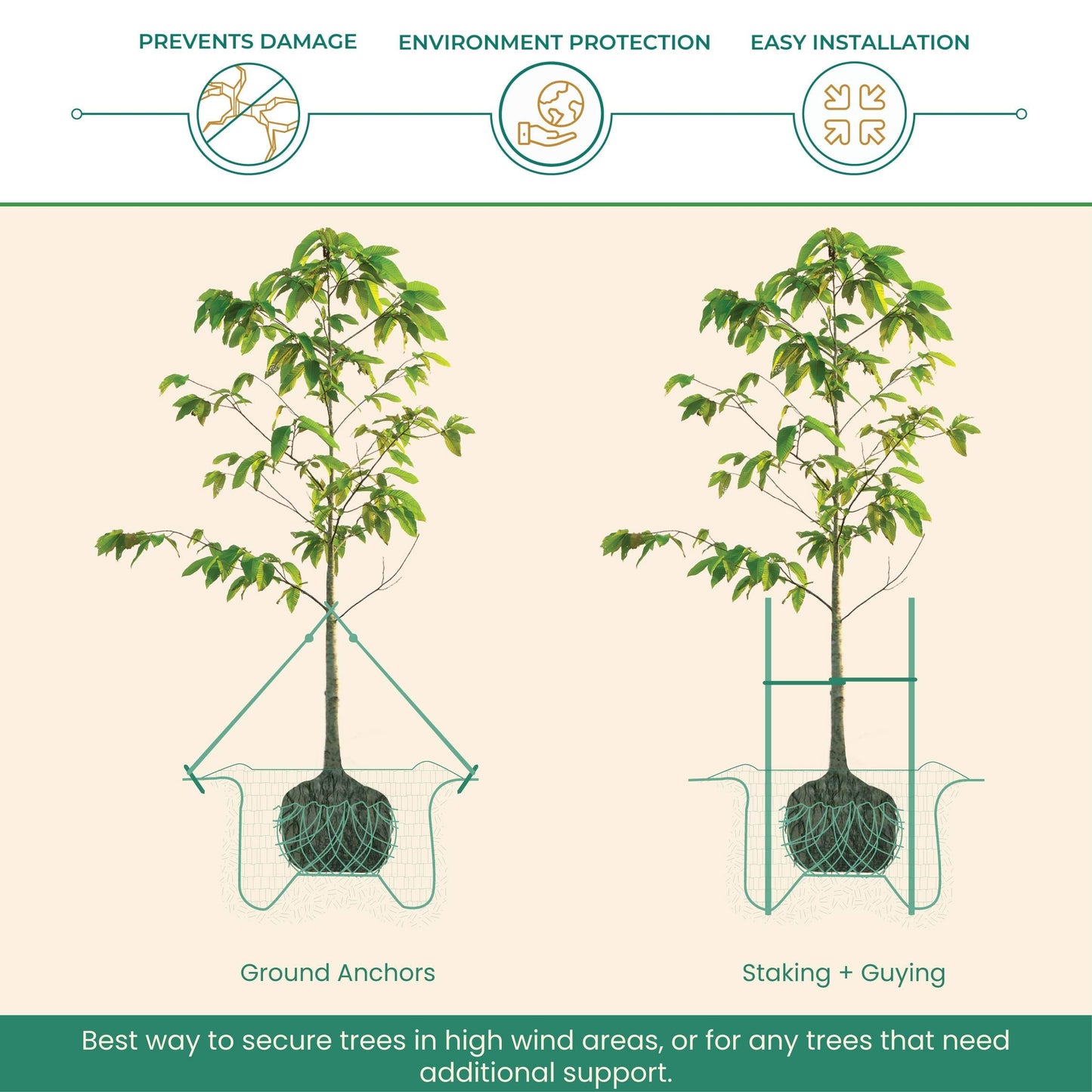 DeepRoot ArborTie Tree Straps for Staking and Guying, Flexible Tree Support Straps, Versatile Tree Rope, Tree Ties For Street Trees, Orchards, and Landscape Trees, 500’ Roll, Olive (AT 5G)