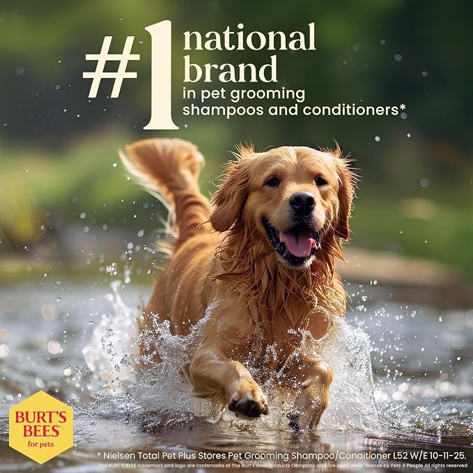 BURT'S BEES FOR PETS Itch Soothing Dog Shampoo for Itchy Skin, pH Balanced Honeysuckle with Skin-Conditioning Honey, 95%+ Natural Origin Formula, No Sulfates, Fragrances, or Colorants, 16 Fl Oz