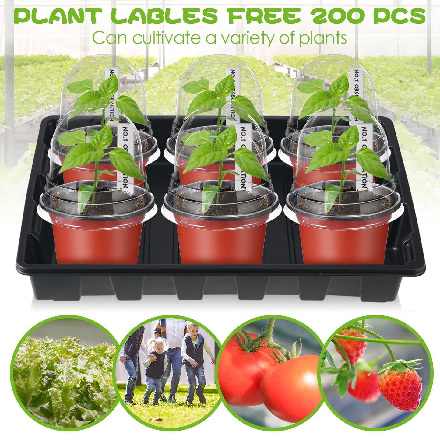 Hushee 70 Pcs Plant Trays Pot Set 10 No Holes Seedling Tray 14.5 x 9 x 2.3 Inch with 60 4 Inch Plastic Clear Plant Nursery Pots Gardening Pot Planting Containers 60 Plant Humidity Dome 60 Plant Labels