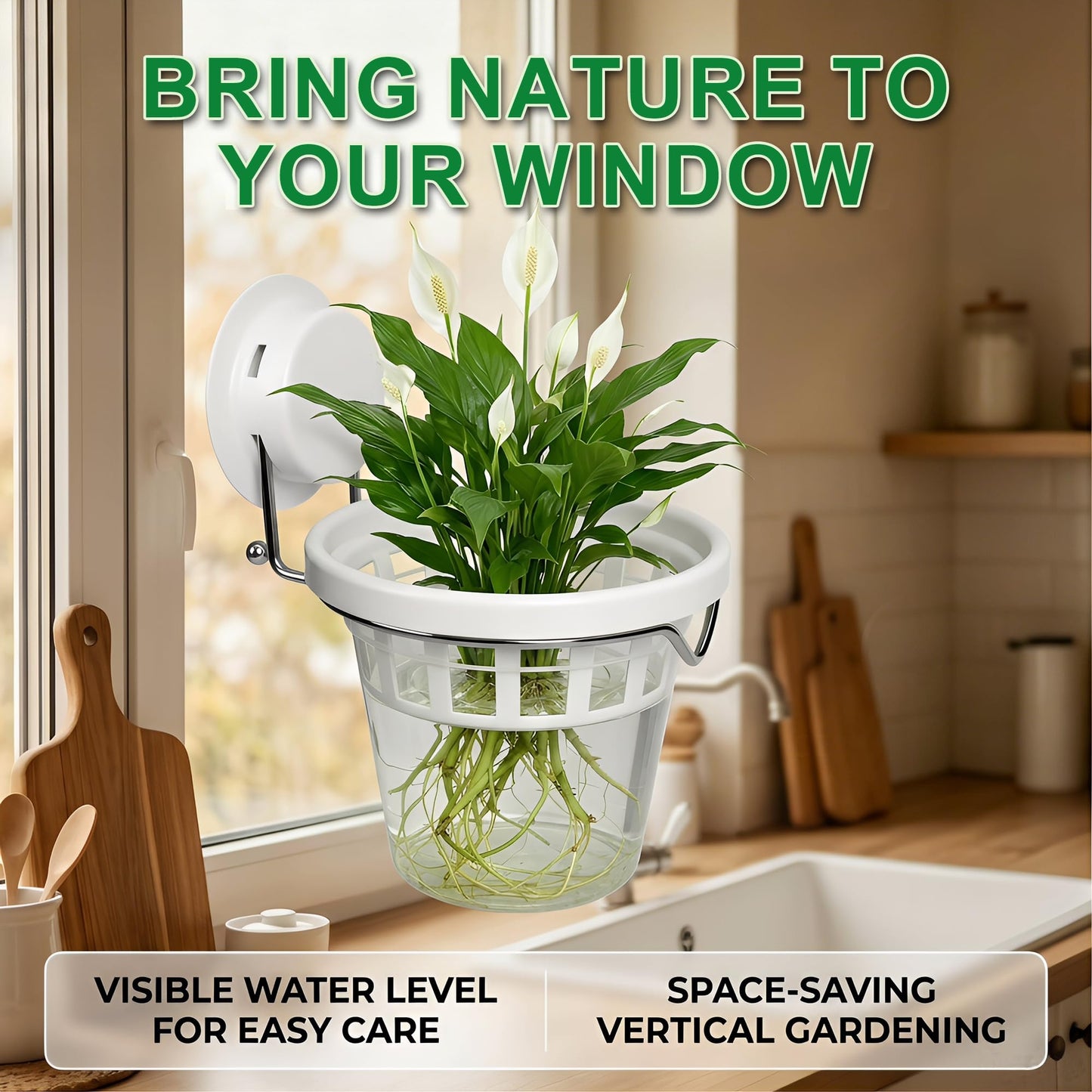 6 Pcs Window Propagation Stations Plastic Wall Hanging Planter with Suction Cup Holder Window Mounted Plant for Hydroponics Plants, Home, Office, Bathroom, Living Room Decor and Any Smooth Surface