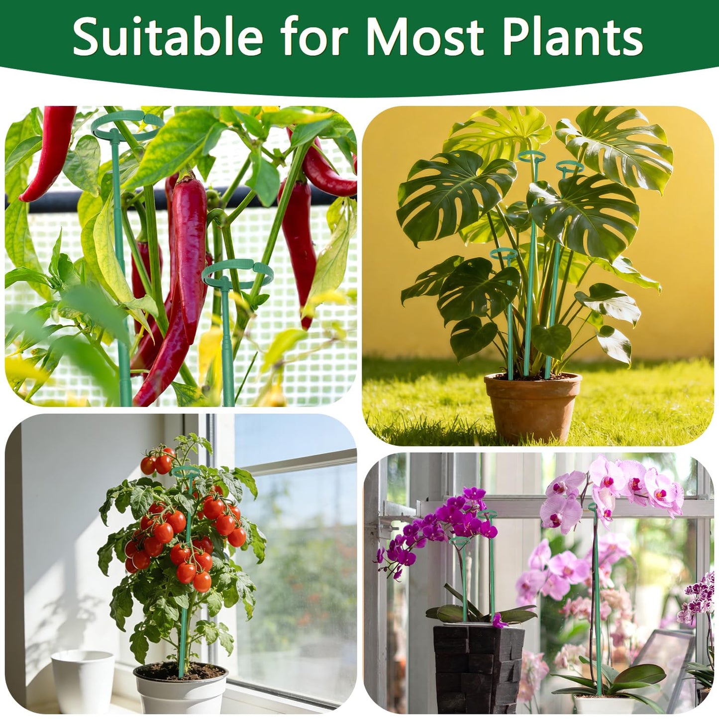 Telescoping Monstera Plant Support Stakes, 12.5IN to 48.4IN Adjustable Length, Extendable Plant Stakes for Indoor Plants, Premium Stainless Steel Material Plants Sticks for Orchids, Tomatoes- 7Pack