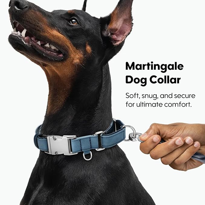 WHIPPY Vegan Leather Dog Collar No Slip Martingale Dog Collar with Quick Release Metal Buckle for Large Medium Small Dogs,Blue