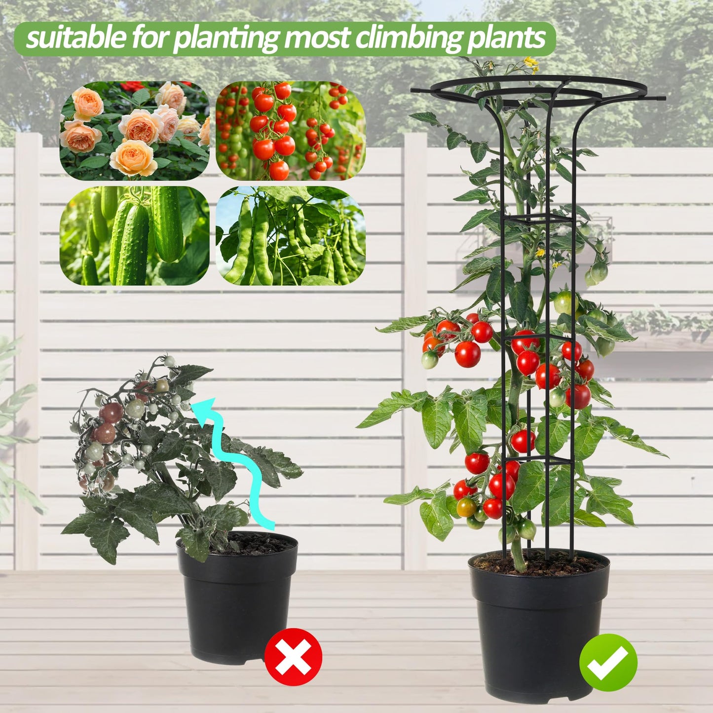 Trellume Trellis for Climbing Plants Outdoor, 70.9 Inch Mushroom Top Trellis for Climbing Plants, Metal Plant Support for Potted Plants Climbing Vine Rose Clematis Vegetable Trellis (2 Pack)