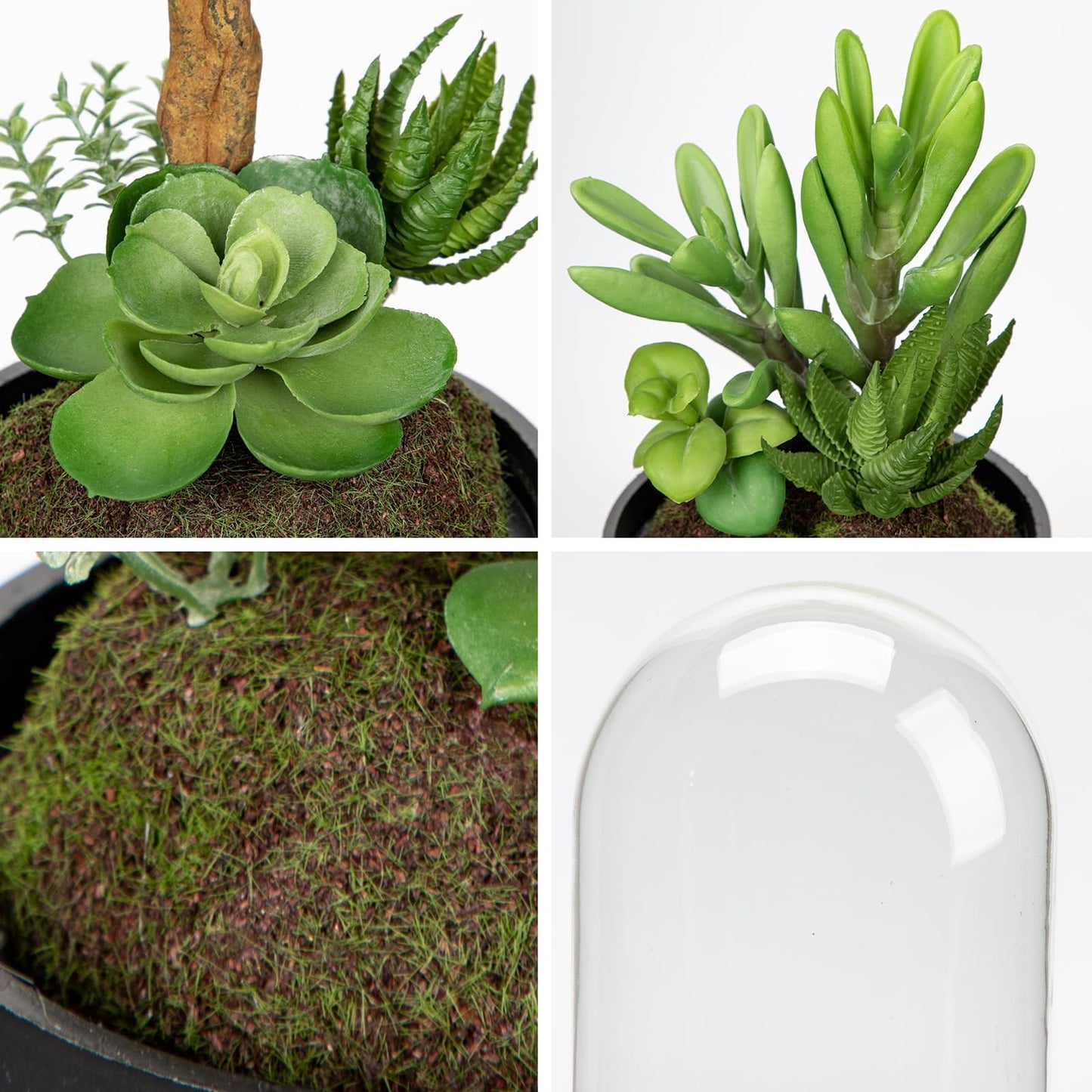 GnFlus Set of 2 Artificial Succulents Plants in Glass Dome with Featuring Sand Moss, Small Fake Aloe Succulents Plants Faux Plants Indoor Decor for Home Office Table Desk Shelf Room Hostess Gift