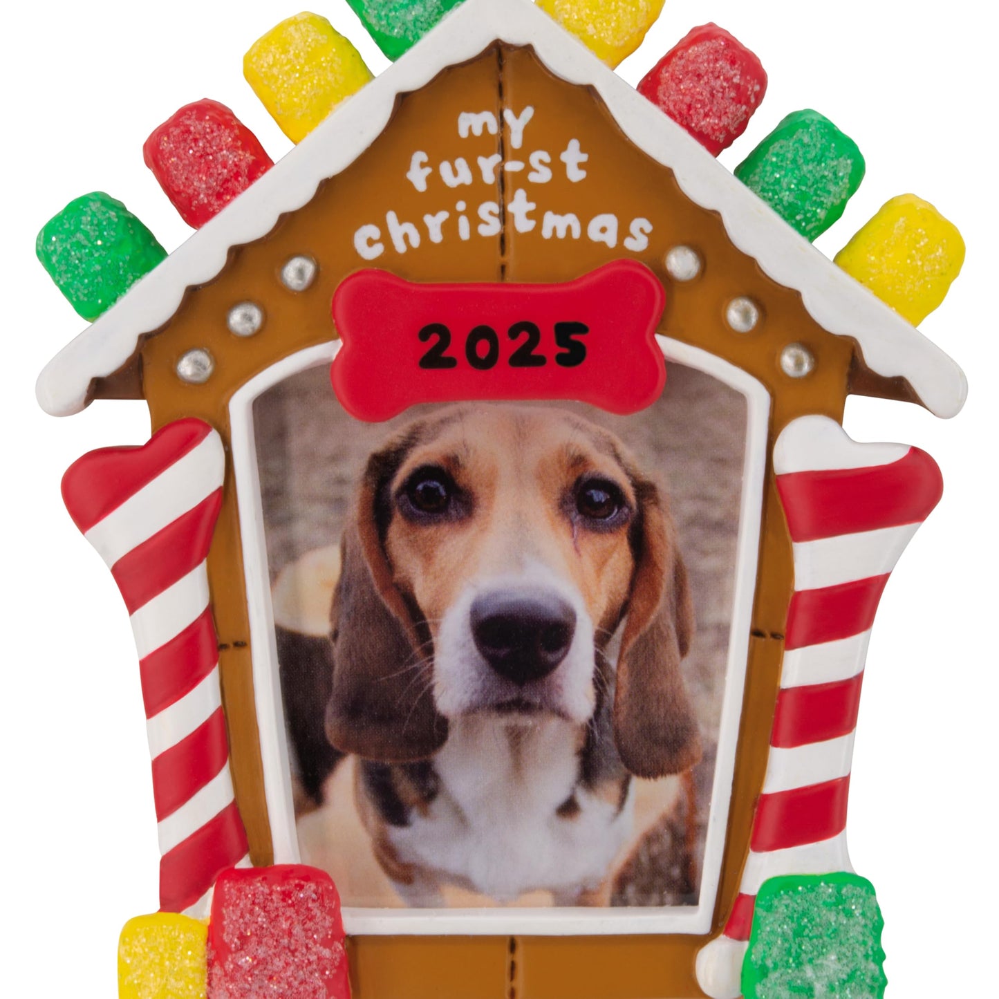 Hallmark My Fur-st Christmas 2025 Photo Frame Christmas Ornament, Pet Gifts