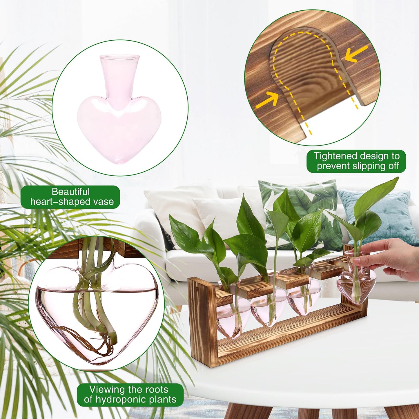 CYZglass Heart Plant Terrarium Kit Gift for Women Plant Lover Glass Vases