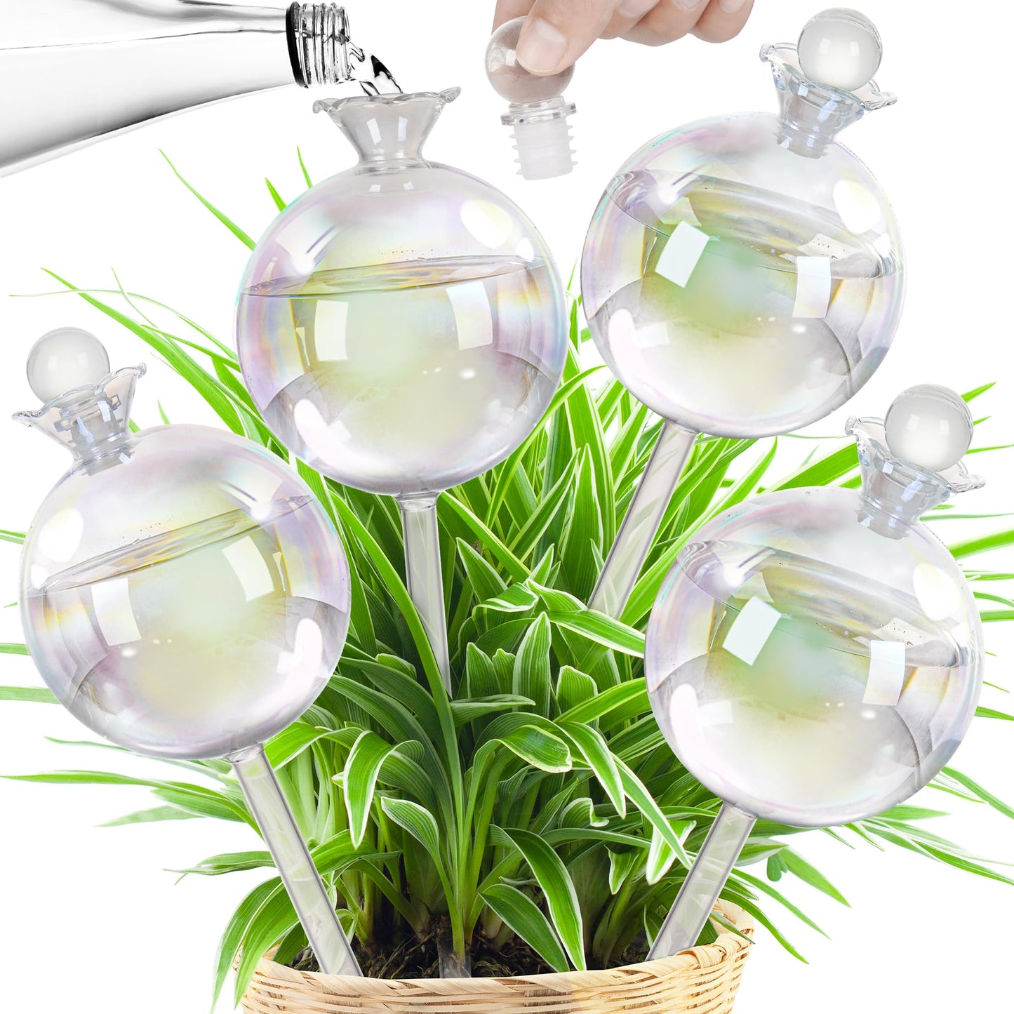 17 oz 2 Weeks Extra Large Plant Watering Globes, Iridescent Glass Self Watering Globes, Self Watering Planter Insert, Plant Watering Devices, Automatic Watering Bulbs for Daily Use (Large 4-Pack)