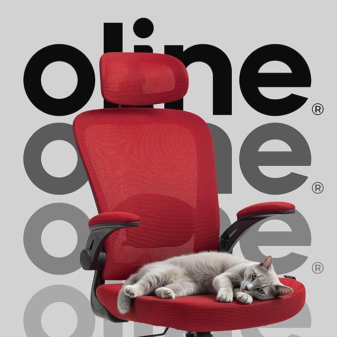 Oline ErgoAir Ergonomic Office Chair – Adjustable Lumbar Support, Flip-Up