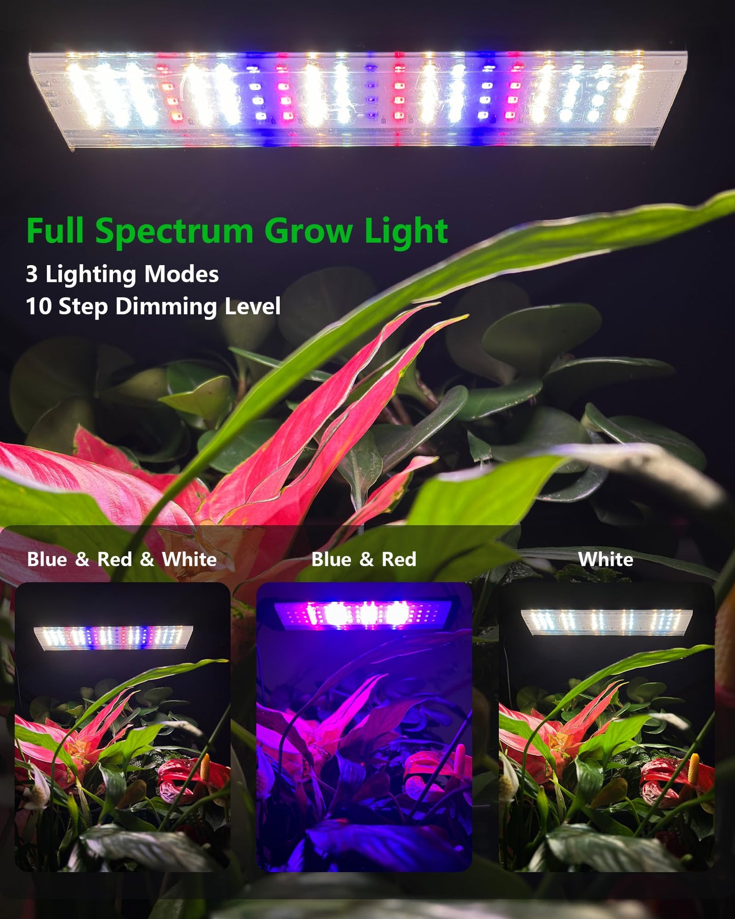 DPROOTS Wall Planters for Indoor Plants with Grow Light & Self Watering System, 6-Pot Vertical Garden for Herbs, Vegetables, Flowers, Succulents, Includes Screws & Expansion Pipes