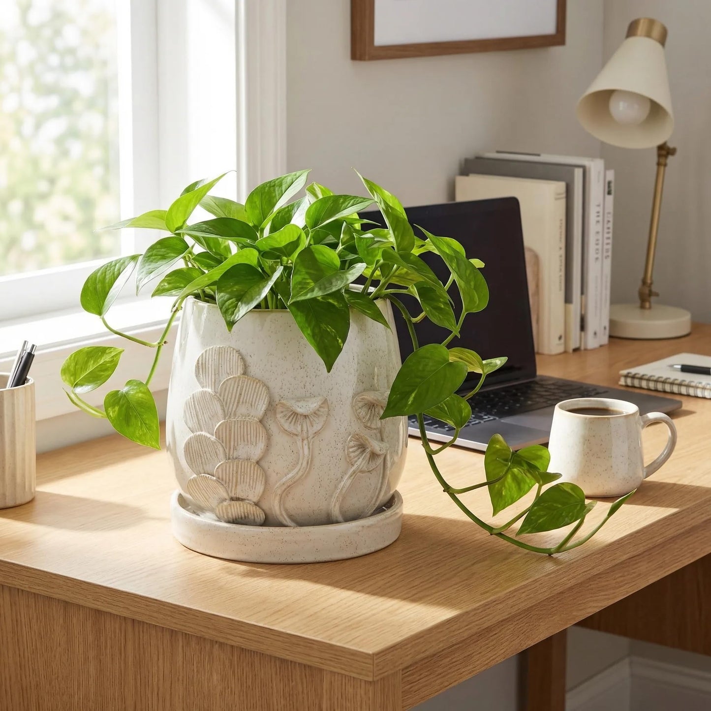 6 Inch Ceramic Plant Pot with Mushroom Gill Pattern Texture, Modern Glaze Planter with Saucer & Drainage Hole, Decorative Flower Pot for Indoor Outdoor Succulents, Herbs & Small Plants, Ivory White