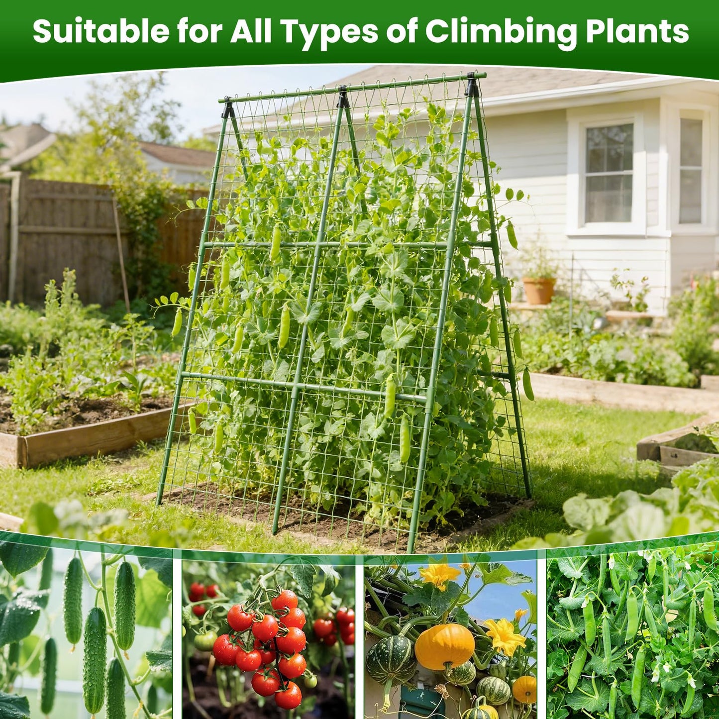 2 Pack Cucumber Trellis 32" L x 48" H, A-Frame Garden Trellis for Climbing Plants Outdoor, Vegetable Trellis for Raised Bed, Support for Squash Pea Zucchini Grape Flowers Tomato
