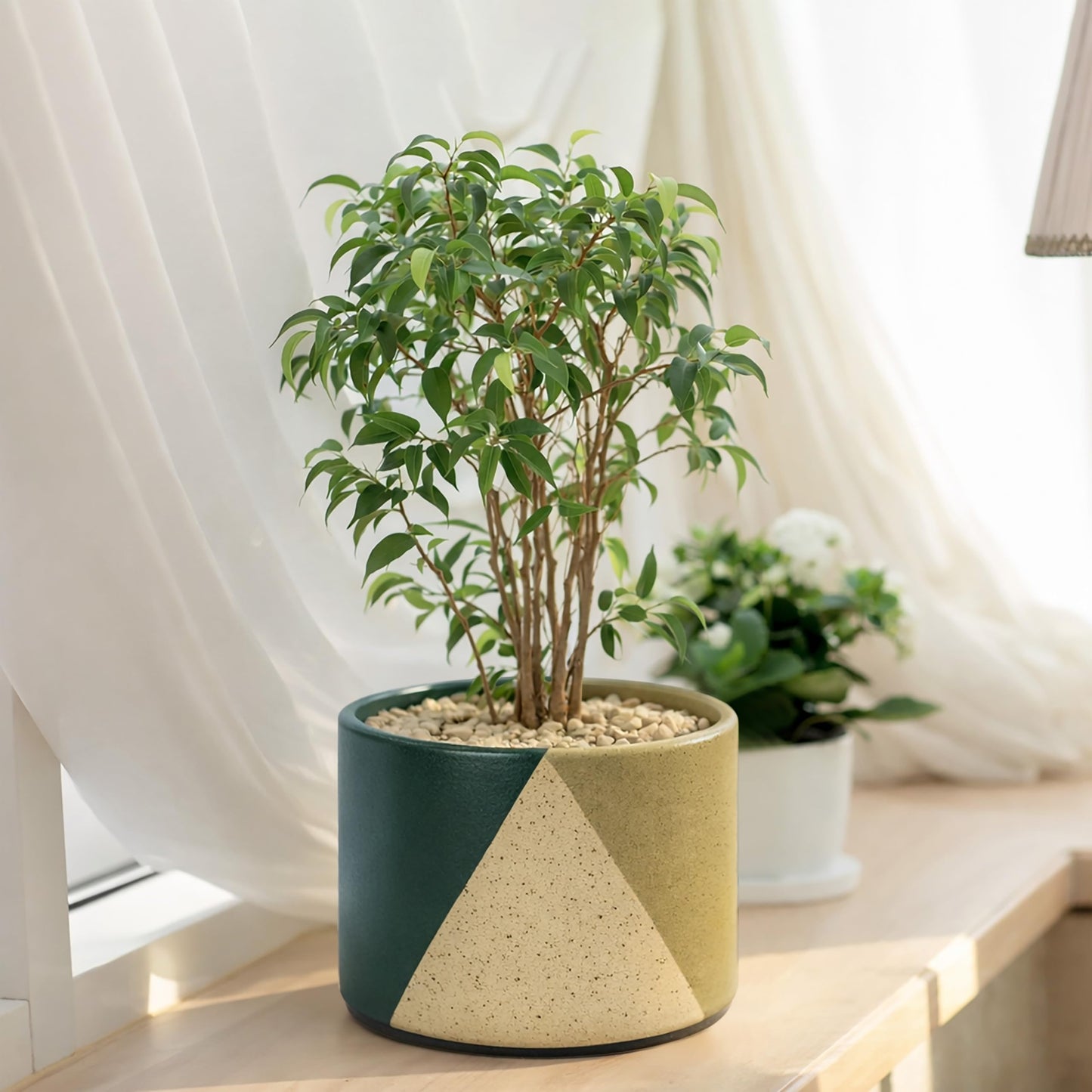 D'vine Dev 6.5" Stoneware Cachepot Planter with 6" Low Clear Nursery Pot & Detachable Saucer – Modern Indoor Plant Pot with Drainage for Bottom Watering & Root Visibility, Desert Forest, 93-O-D-1