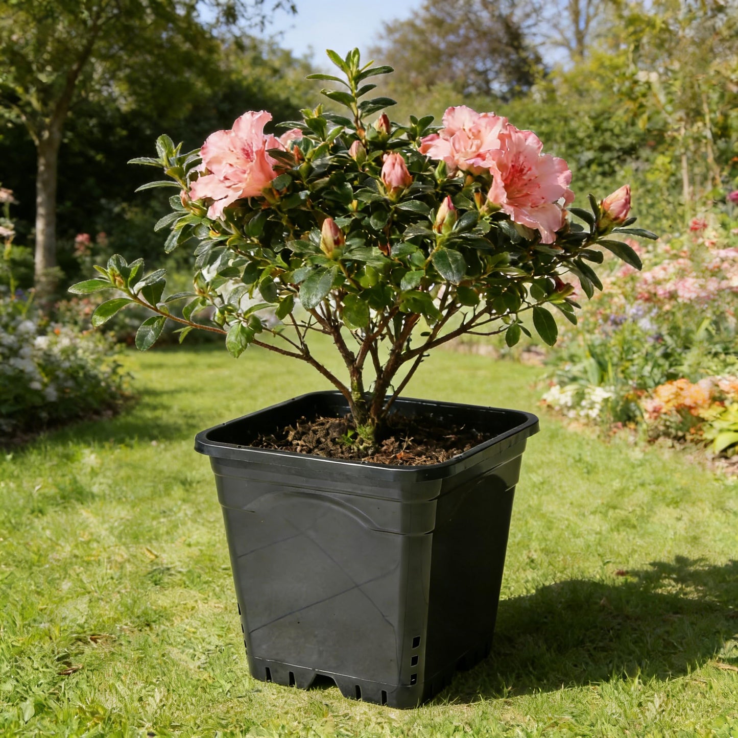 CHTASO HG12X12SW 20 Pack 6 Gallon Large Square Nursery Pots, 12 x 12 Inch Black Plastic Plant Nursery Pots Garden Planter for Planting Flowers