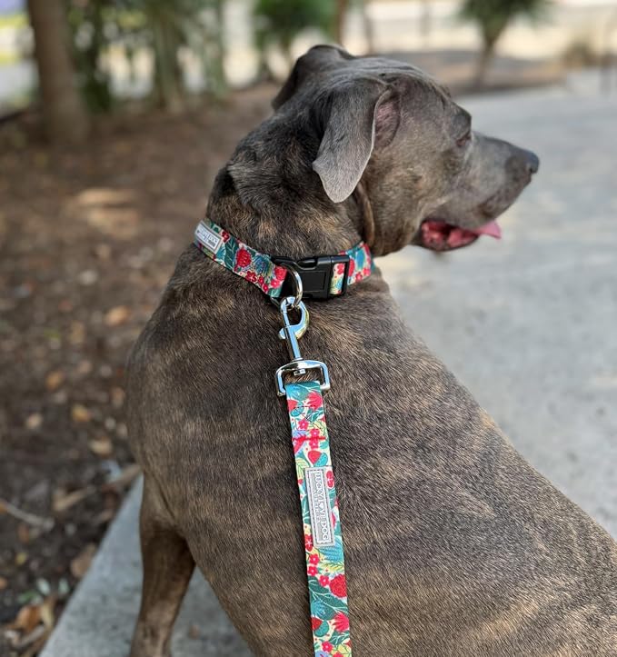 Lucky Love Dog - Easy Click Buckle Dog Collar with Leash Set Combo, Durable & Comfortable for Male & Female Dogs, Pet Collar for Large Dogs, Secure Fit - Ginny Combo, Large
