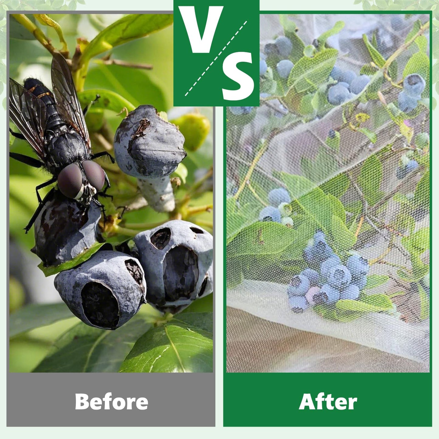 OZMI 2 Pack Bird Netting for Garden, 8 x 8 FT Blueberry Bush Netting Cover with Zipper, Drawstring Reusable Mesh Plant Protector for Shrubs Bush Fruit Tree Potted