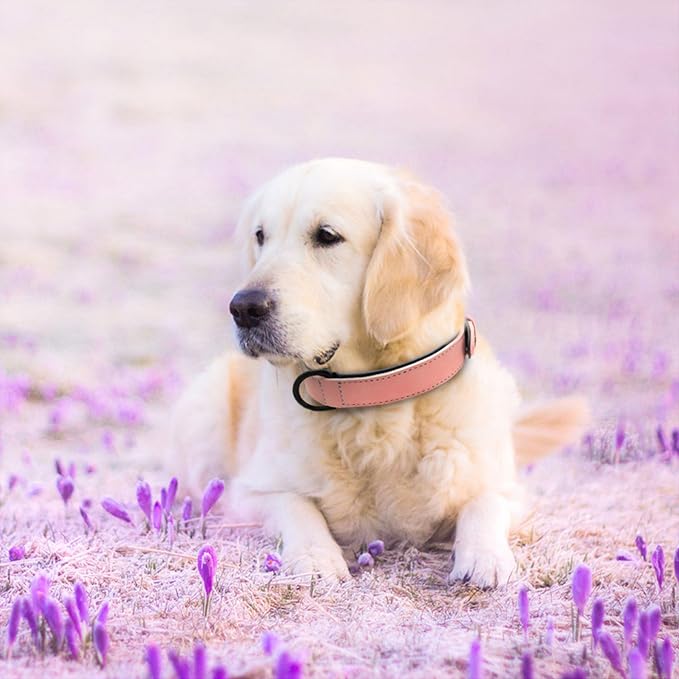 Didog Soft Padded PU Leather Dog Collar, Breathable and Adjustable Pink Dog Collar for Large Dogs, Comfortable for Daily Walk Pink, XL Fit Neck 18-22"(45-71 lbs)
