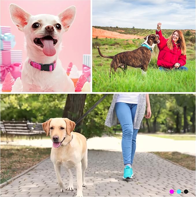Soft Neoprene Padded Dog Collar and Leash Set for Small Medium Large Dogs, Reflective Durable Nylon Dog Collar with 5ft Leash Easy for Walking, Hot Pink,Neck fit 10.5-15.5’’