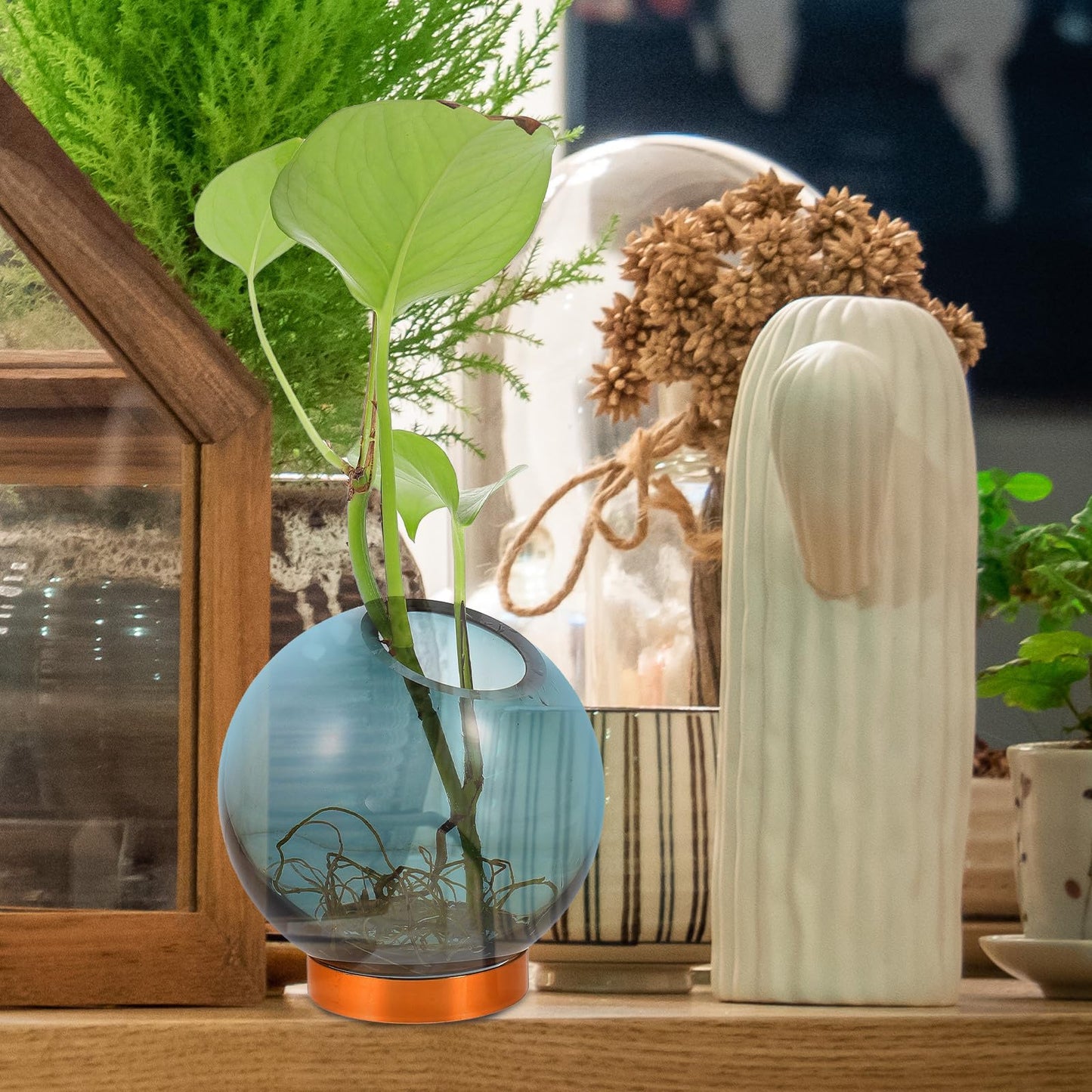 Cabilock Glass Hydroponic Vase with Copper Stand, Small Round Floral Arrangement Terrarium for Indoor Plant Decor and Hydroponic Flowers Display