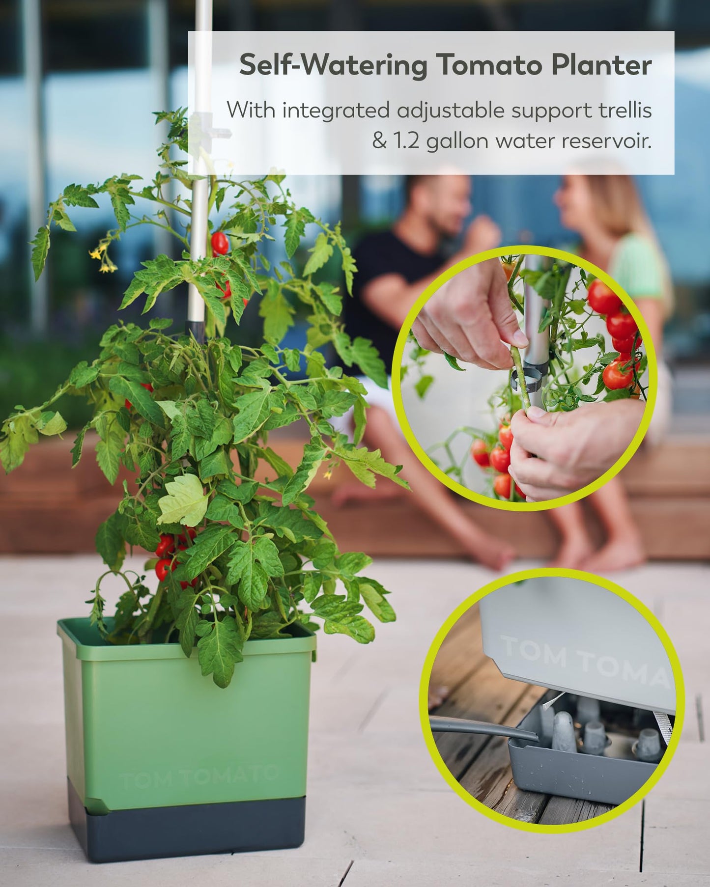 BUZZY Seeds Self-Watering Vertical Tomato Planter with Trellis – 1.2 Gal Reservoir, Large Capacity Planter for Tomatoes & Climbing Plants (Green)