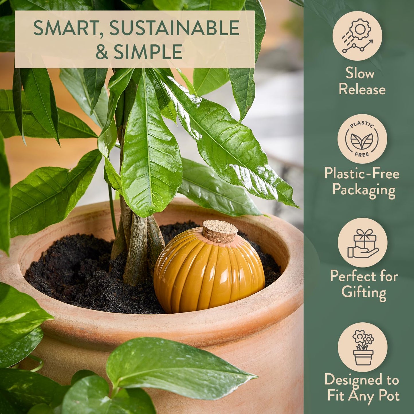 Modern Sprout Terracotta Self Watering Bulbs for Indoor Plants, 10oz Plant Watering Globes 3 Pack, Glazed Finish with Cork Top - Plum, Sage & Mustard, Decorative Plant Accessories Gift for Mom,Grandma