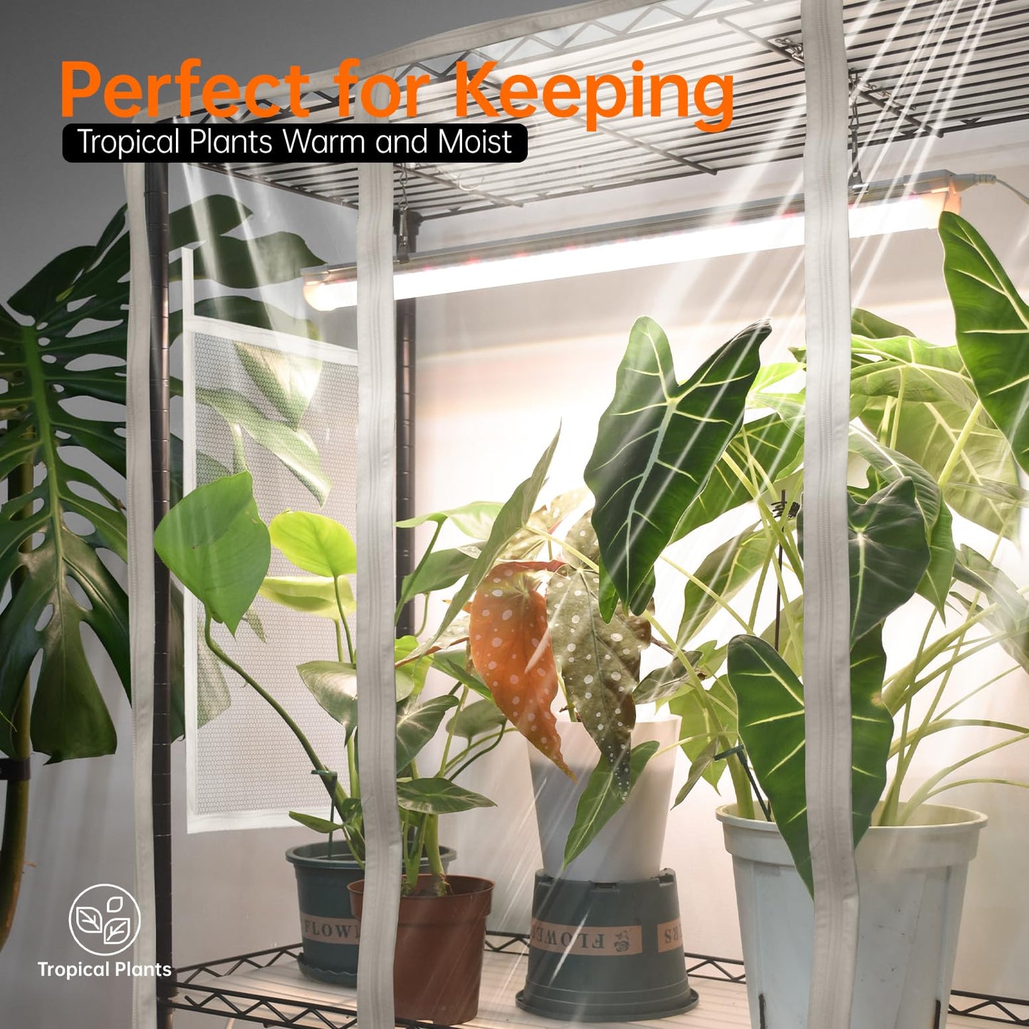 Bstrip Indoor Greenhouse with Grow Light, Mini Green House with 4 Pack 24W Full Spectrum Plant Lights with Timer, Plant Shelf with Tent for Indoor Plant, Seed Starting, Seed Tray, 35.4"x13.8"x59"