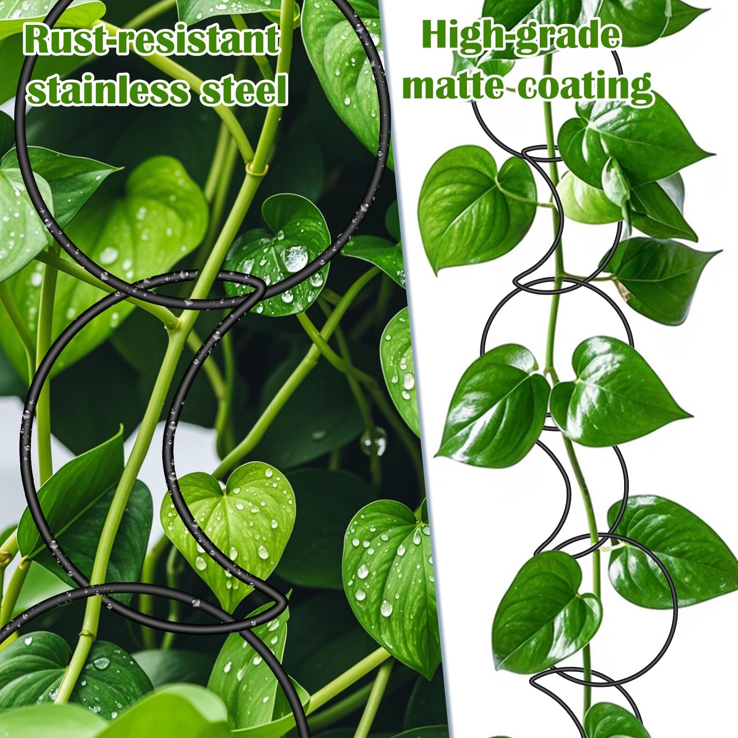 Vodolo 18 Pcs Chain Trellis for Climbing Plants Indoor Outdoor,Wall Plant Vine Climbing Support for Potted Plants,Houseplant Accessorie for Climbing Plants Pertains to Monstera,Pothos,Ivy,Wisteria