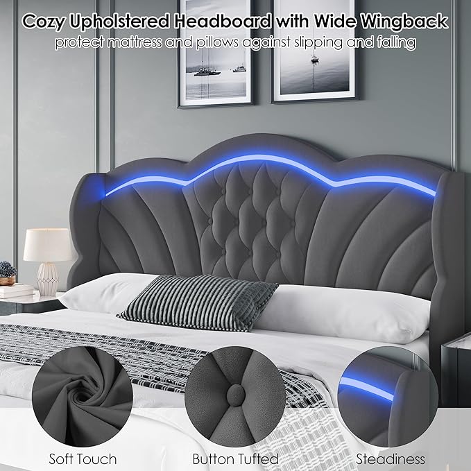 Keyluv Queen Bed Frame with LED Lights and 2 Storage Drawers, Velvet