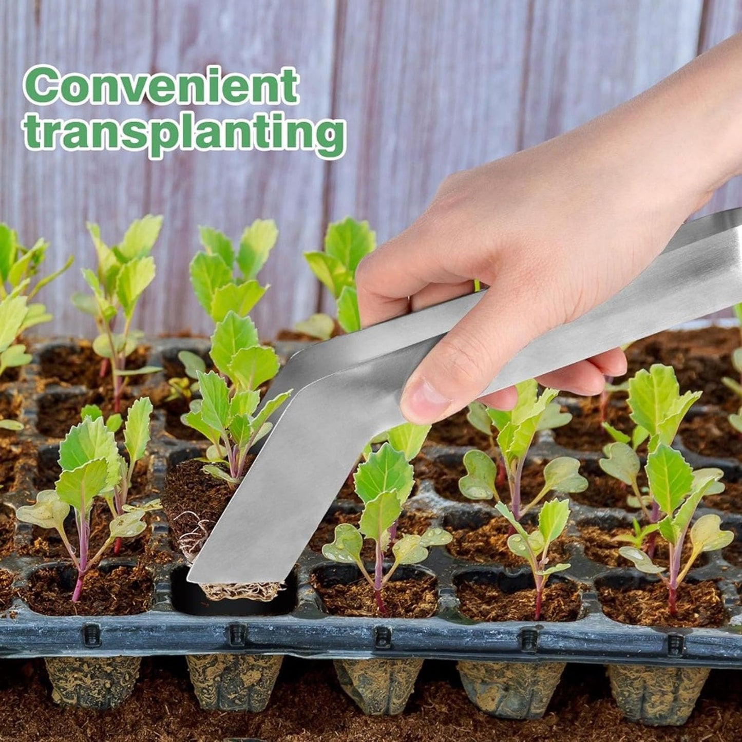 Fabater Seedling Transplant Tongs, 7.1 Inch Stainless Steel Seedling Starters Remove Tongs, Seedling Transplanting Tool, Gardening Plants Transplant Tongs Easily Reduces Root Damage (S)