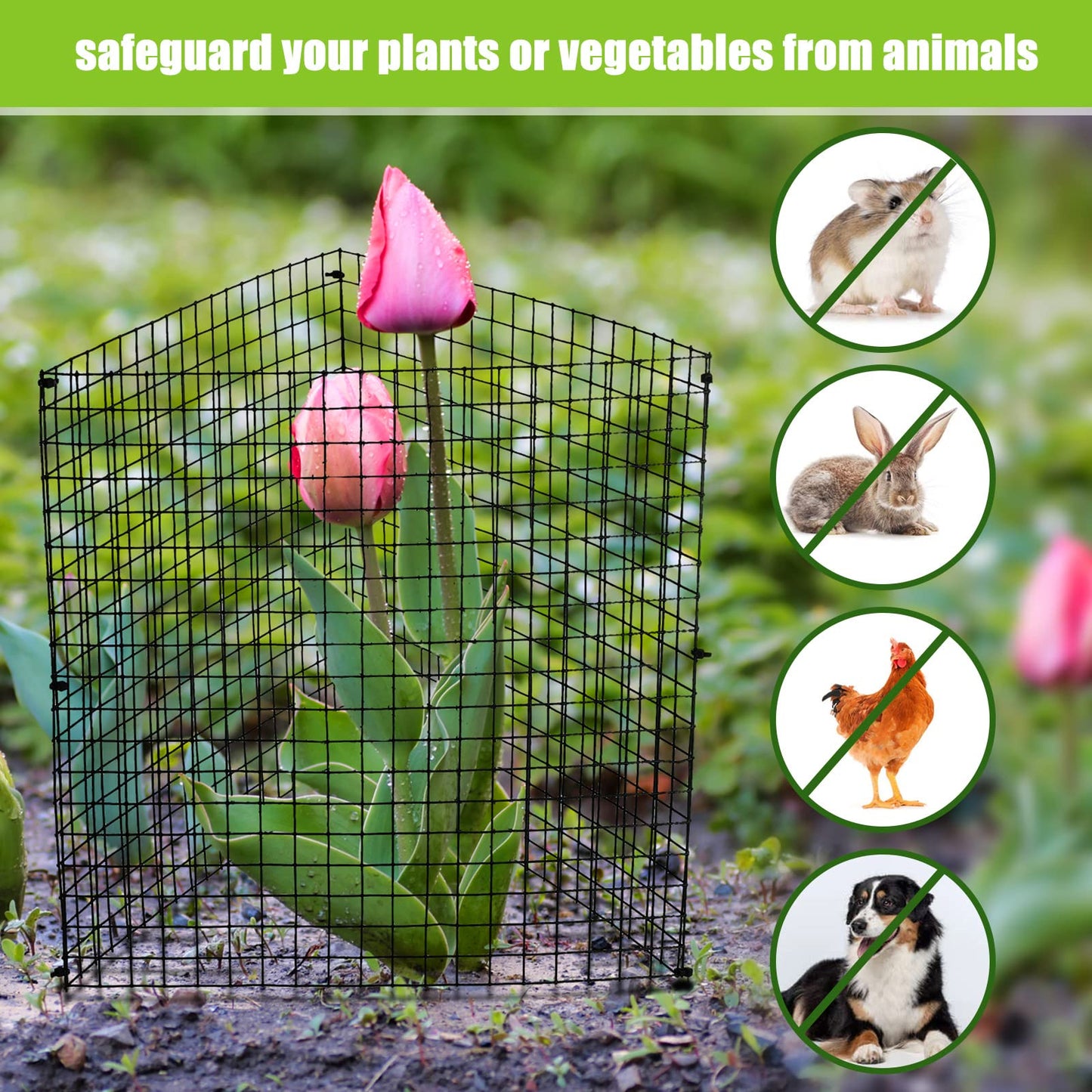 Zubebe 5 Pack Small Wire Plant Protectors Square Plant Protectors from Animals Mesh Cage Chicken Wire Cloche for Shrubs and Vegetables with Ground Stakes and Nylon Ties (12 x 12 Inch)