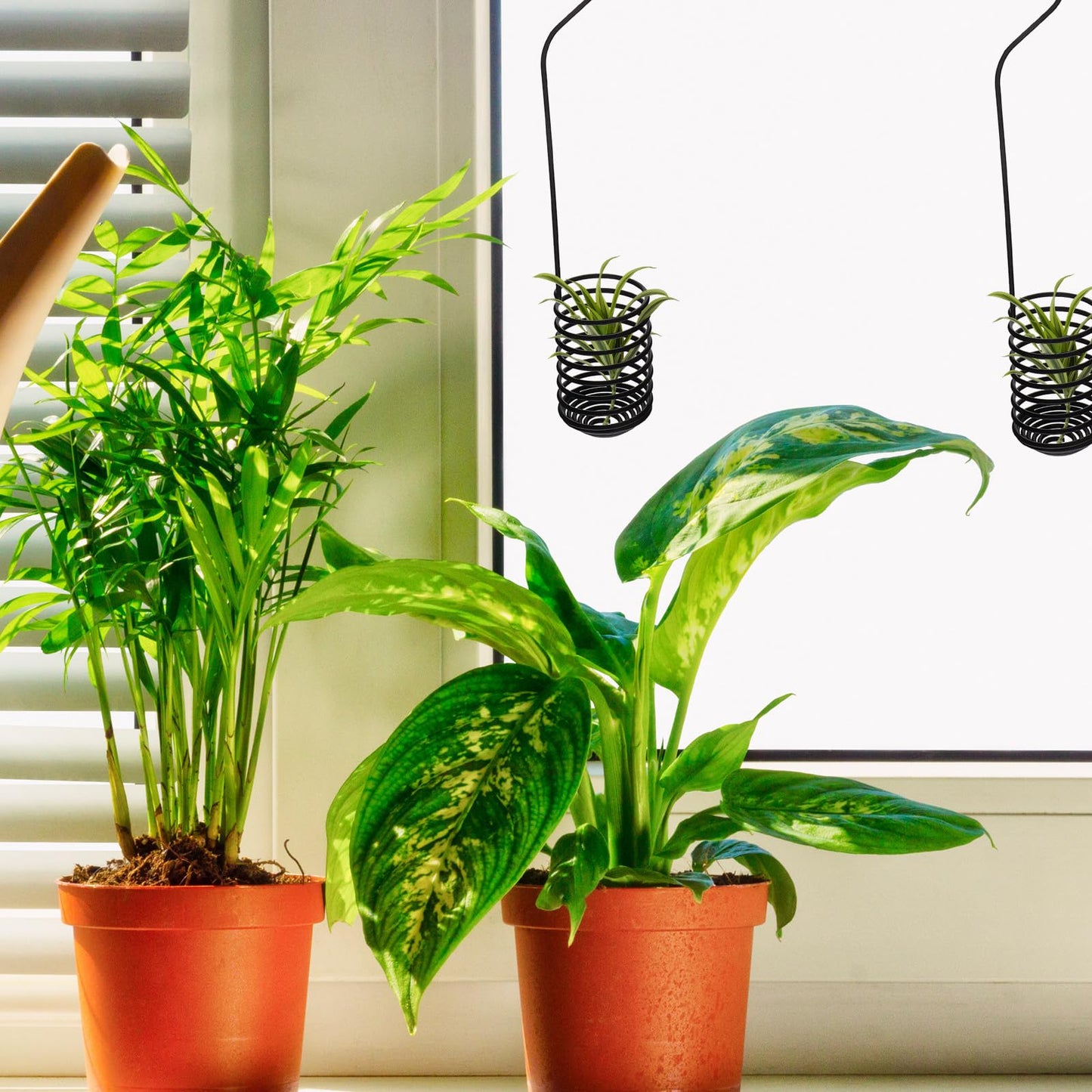 TOYANDONA 2pcs Tillandsia Hanging Rack Hooks Metal Air Plant Holders 37cm Spiral Stand Wall Mount for Indoor Outdoor Plant Display